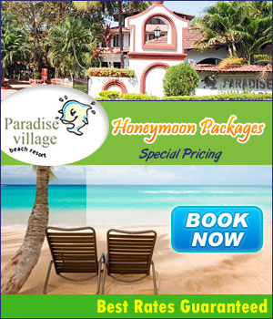 Goa Hotels : Goa Honeymoon Packages